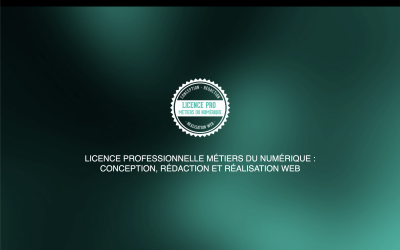 Licence Pro Métiers du numérique